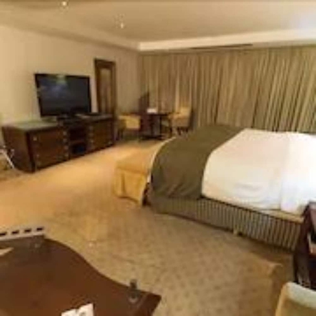 Imagen de la habitación del Hotel Grand Bittar. Foto 17