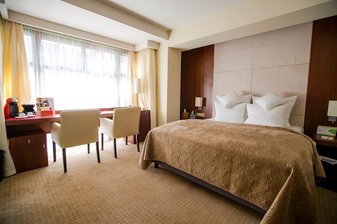 Imagen de la habitación del Hotel Grand Boutique, Rzeszów. Foto 16