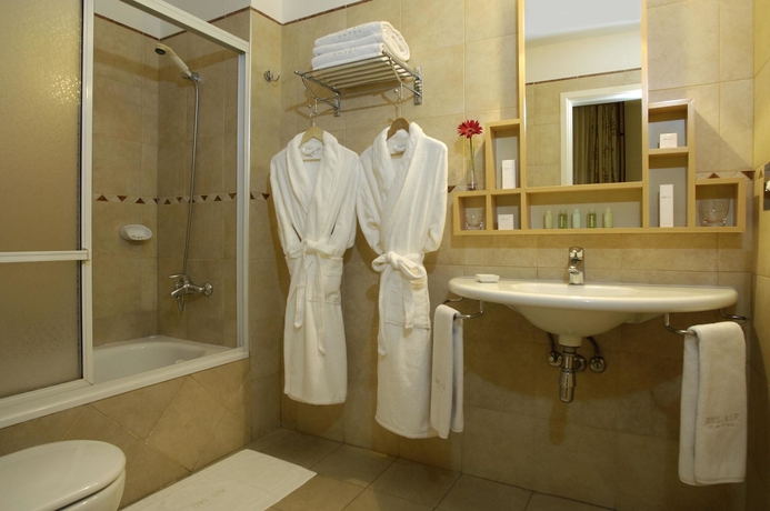 Imagen de la habitación del Hotel Grand Brizo Bel Air. Foto 4