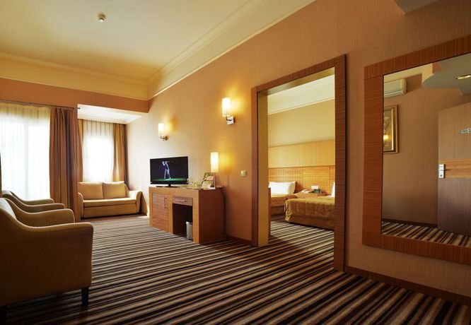 Imagen de la habitación del Hotel Grand Cettia. Foto 8