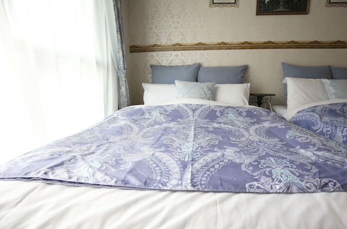 Imagen general del Hotel Grand Court Namba 501. Foto 13