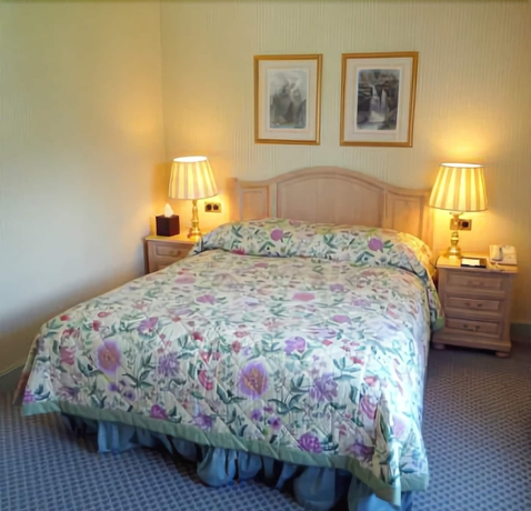 Imagen de la habitación del Hotel Grand Du Golf and Palace. Foto 5