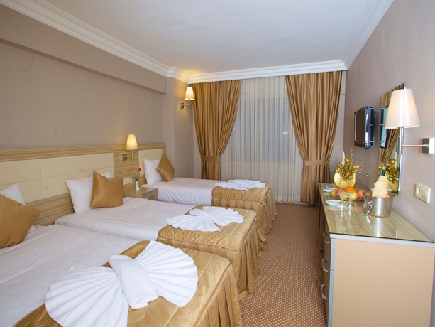 Imagen de la habitación del Hotel Grand Emin. Foto 8