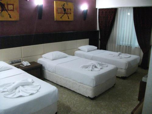 Imagen de la habitación del Hotel Grand Eregli. Foto 8