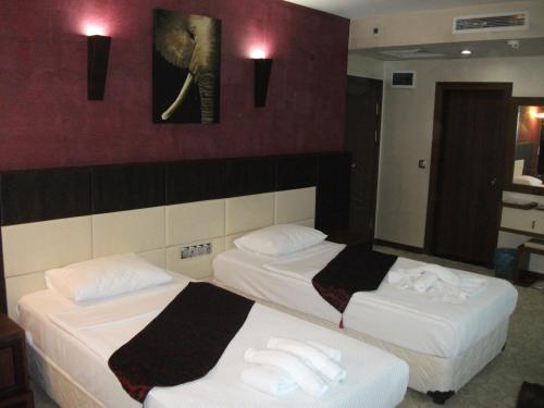 Imagen general del Hotel Grand Eregli. Foto 4