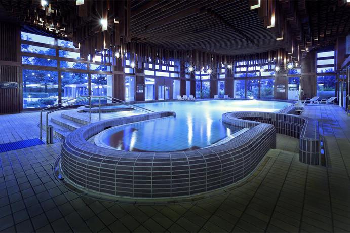 Imagen de la piscina del Hotel Grand Et Centre Thermal. Foto 11