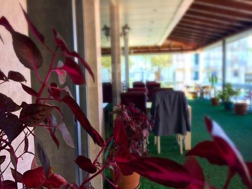 Imagen general del Hotel Grand Ezel. Foto 7