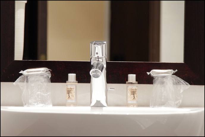 Imagen de la habitación del Hotel Grand Francais. Foto 7