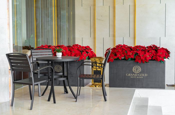 Imagen de los interiores del Hotel Grand Gold. Foto 14