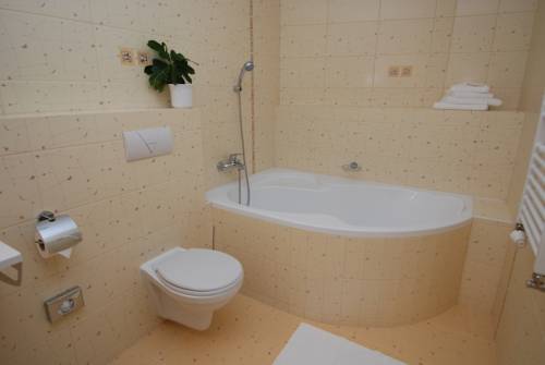 Imagen de la habitación del Hotel Grand, HRADEC KRALOVE CIUDAD. Foto 7