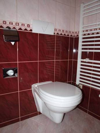 Imagen de la habitación del Hotel Grand, HRADEC KRALOVE CIUDAD. Foto 9