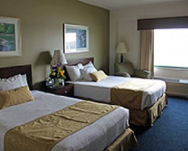 Imagen de la habitación del Hotel Grand Harbor Resort and Waterpark. Foto 11