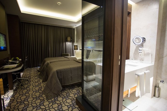 Imagen de la habitación del Hotel Grand Harilton. Foto 12