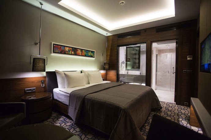 Imagen de la habitación del Hotel Grand Harilton. Foto 13