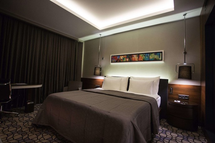 Imagen de la habitación del Hotel Grand Harilton. Foto 16