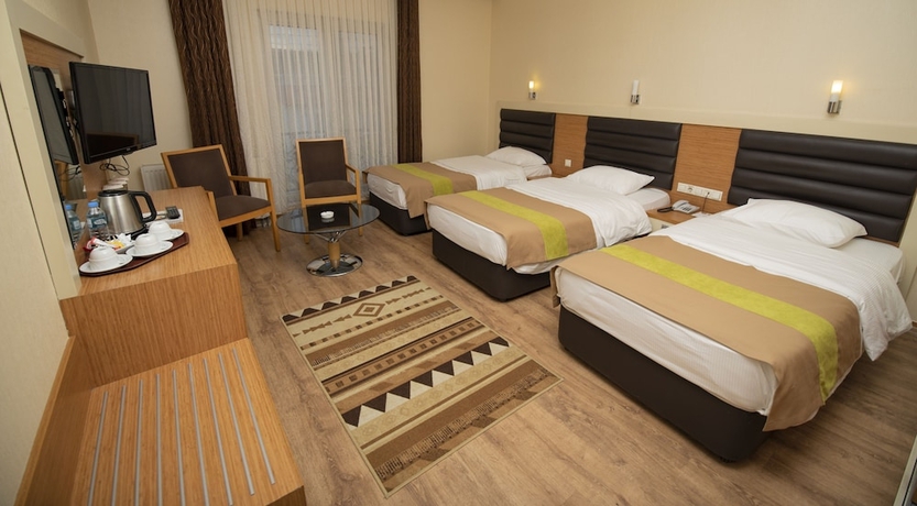 Imagen de la habitación del Hotel Grand Hasankeyf. Foto 11