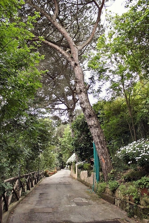 Imagen de los exteriores del Hotel Grand Hermitage and Villa Romita. Foto 9