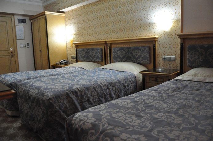 Imagen de la habitación del Hotel Grand Hisar. Foto 8