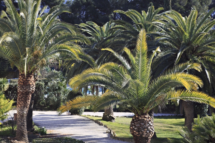 Imagen de los exteriores del Hotel Grand Hotel Des Lecques; BW Signature Collection. Foto 12