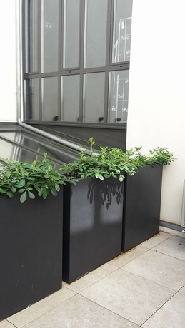 Imagen de los exteriores del Hotel Grand Hotel Lafayette. Foto 10