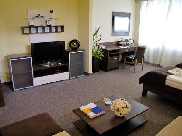 Imagen de la habitación del Hotel Grand Hotel Senica. Foto 14