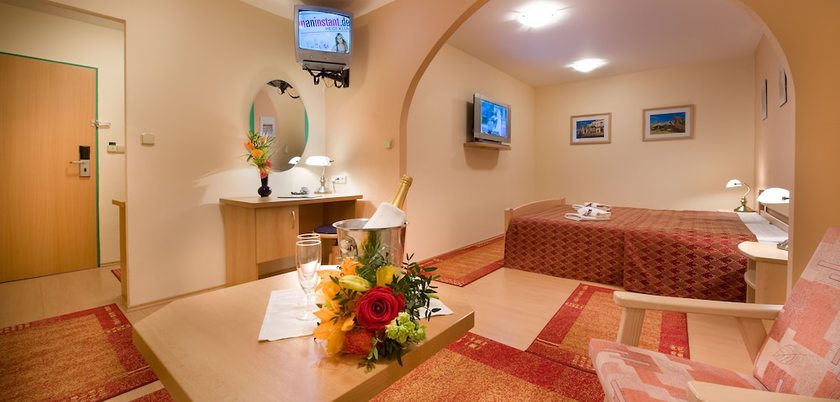 Imagen de la habitación del Hotel Grand Hotel, Trebic. Foto 7