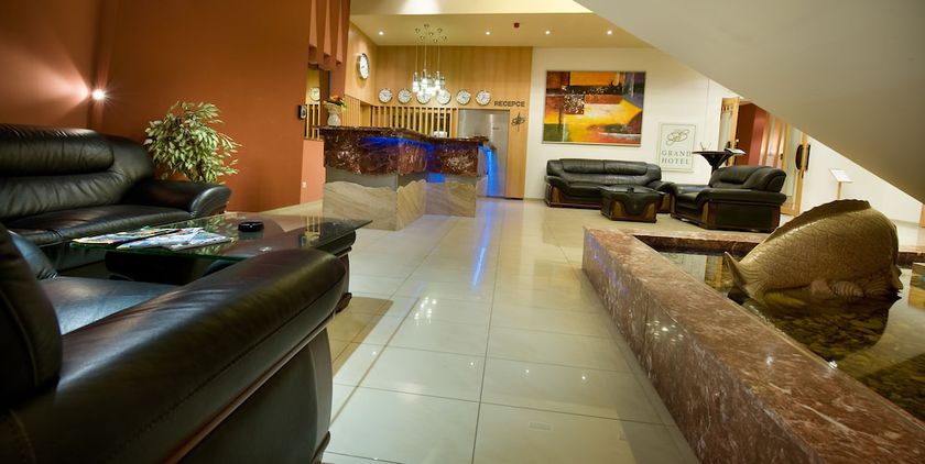 Imagen de los interiores del Hotel Grand Hotel, Trebic. Foto 20