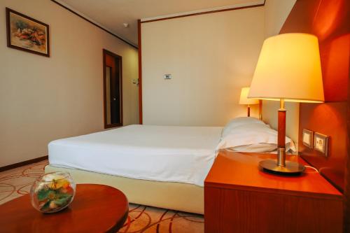 Imagen general del Hotel Grand Hotel Tuzla. Foto 5