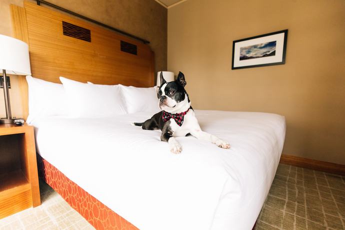 Imagen de la habitación del Hotel Grand Hyatt Seattle. Foto 5