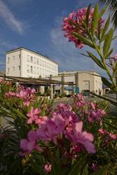 Imagen general del Hotel Grand Koper. Foto 26