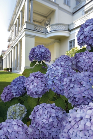 Imagen de los exteriores del Hotel Grand Majestic. Foto 9