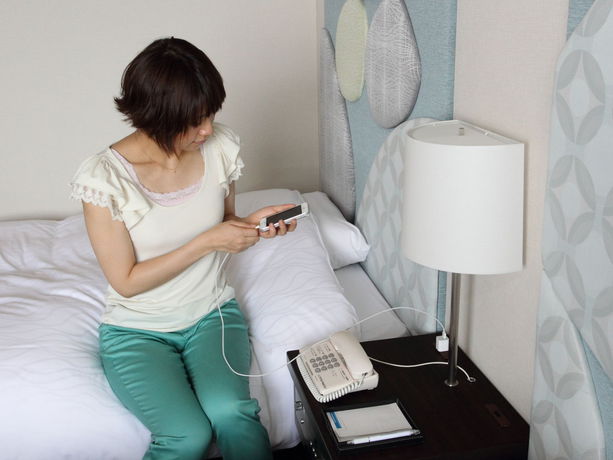 Imagen de la habitación del Hotel Grand Mercure Minamiboso Resort and Spa. Foto 15