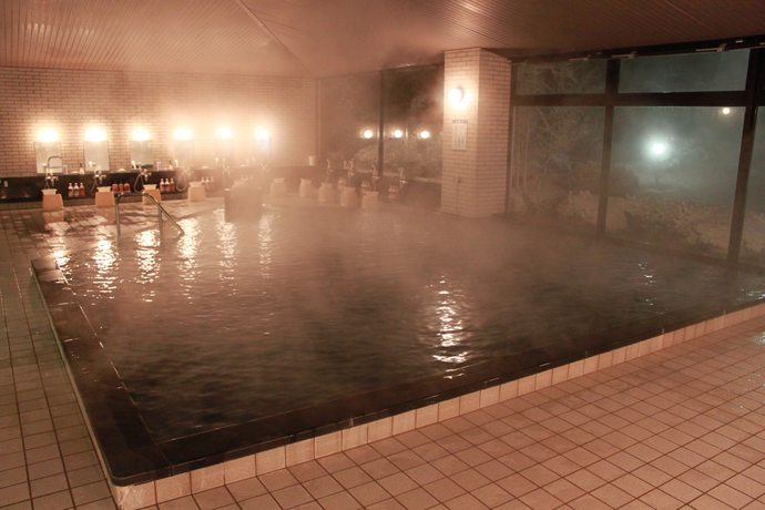 Imagen de la piscina del Hotel Grand Mercure Nasu Highlands Resort and Spa. Foto 18