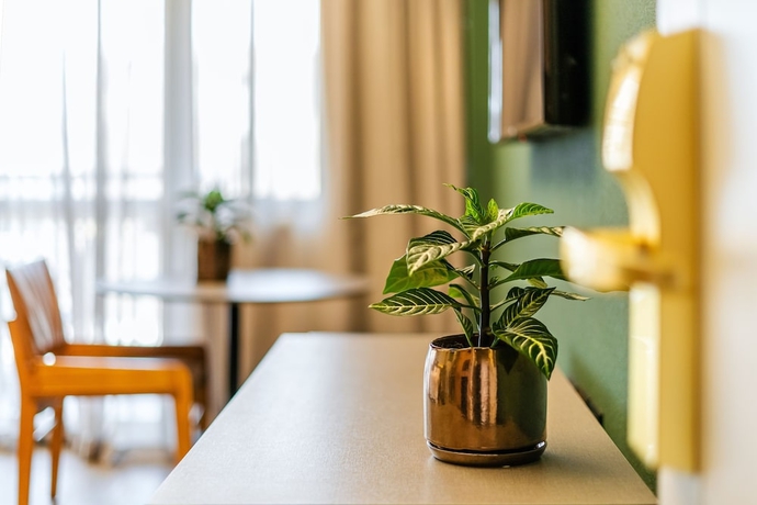 Imagen de la habitación del Hotel Grand Mercure SP Itaim Bibi. Foto 9