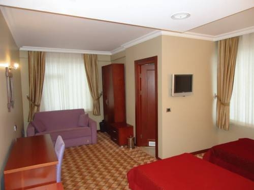 Imagen general del Hotel Grand Merin Airport. Foto 2