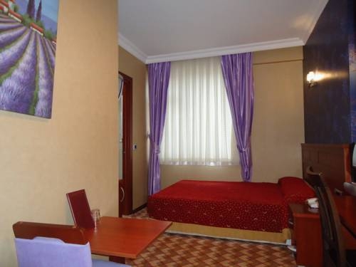 Imagen general del Hotel Grand Merin Airport. Foto 3