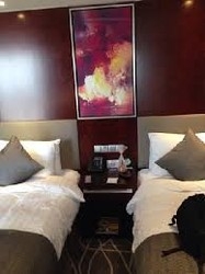 Imagen de la habitación del Hotel Grand Metropark Universal Dinosaur Town. Foto 5