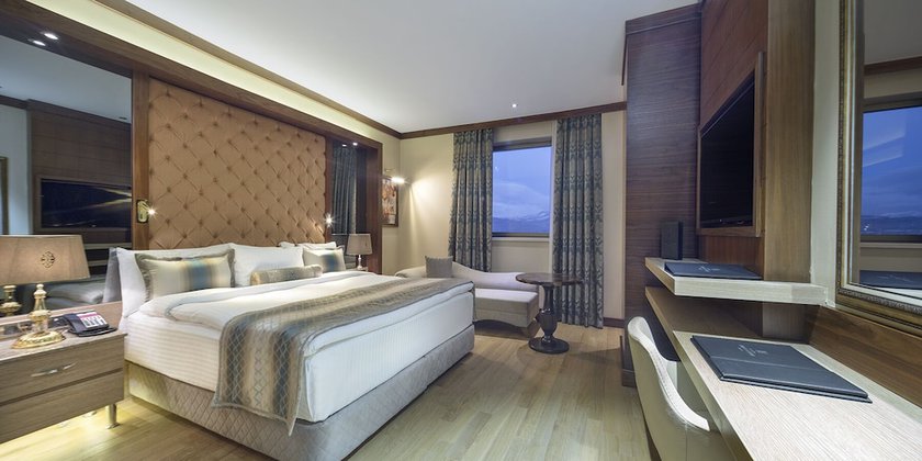 Imagen de la habitación del Hotel Grand Millenium Konya. Foto 2