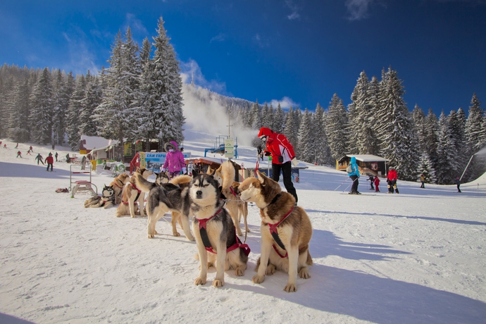 Imagen general del Hotel Grand Monastery. Foto 3