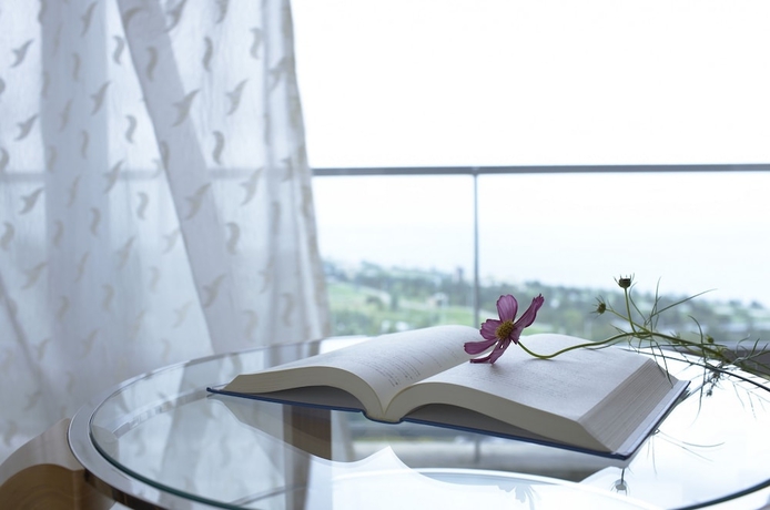 Imagen de la habitación del Hotel Grand Nikko Awaji. Foto 16