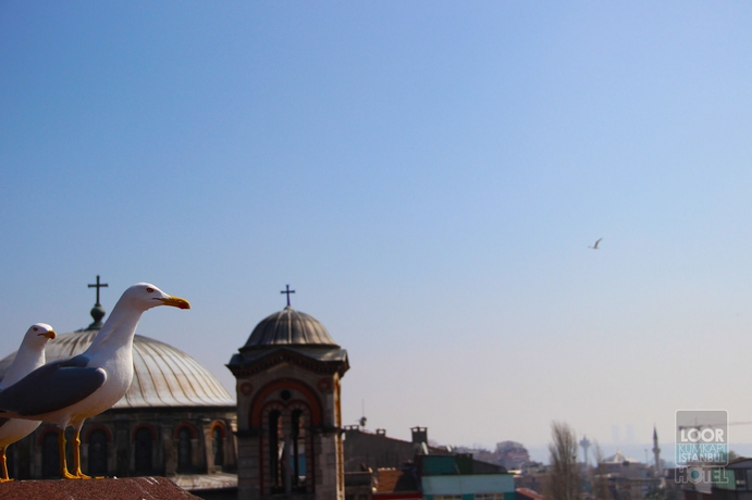 Imagen de los exteriores del Hotel Grand Ninova. Foto 15