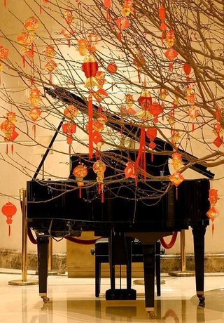 Imagen general del Hotel Grand Noble. Foto 6