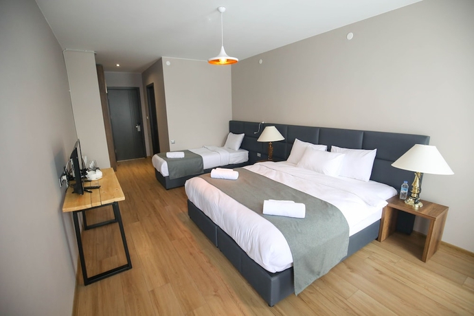 Imagen de la habitación del Hotel Grand Noel Bakuriani. Foto 1