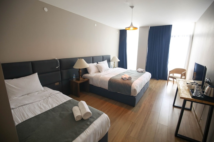 Imagen de la habitación del Hotel Grand Noel Bakuriani. Foto 2