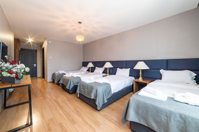 Imagen de la habitación del Hotel Grand Noel Bakuriani. Foto 7