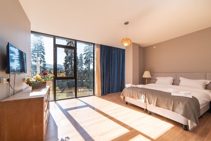 Imagen de la habitación del Hotel Grand Noel Bakuriani. Foto 13