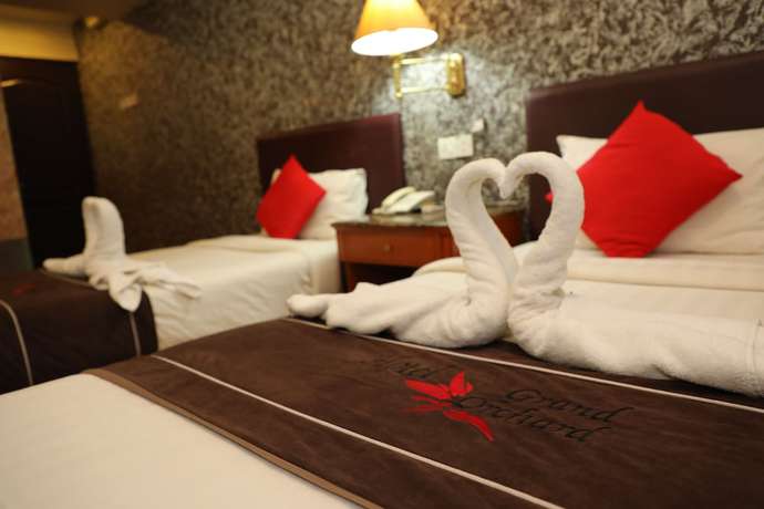 Imagen de la habitación del Hotel Grand Orchard Wings. Foto 4