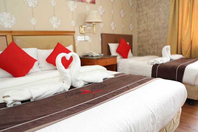 Imagen de la habitación del Hotel Grand Orchard Wings. Foto 16