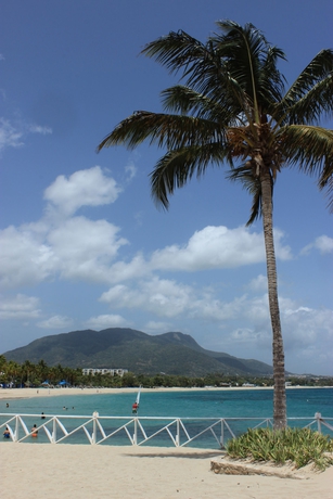 Imagen de los exteriores del Hotel Grand Paradise Playa Dorada. Foto 9