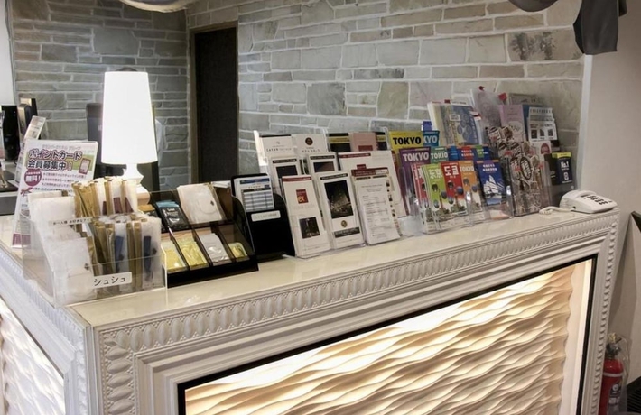 Imagen de los interiores del Hotel Grand Park Panex Tokyo. Foto 18